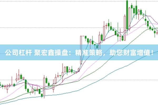 公司杠杆 聚宏鑫操盘：精准策略，助您财富增值！