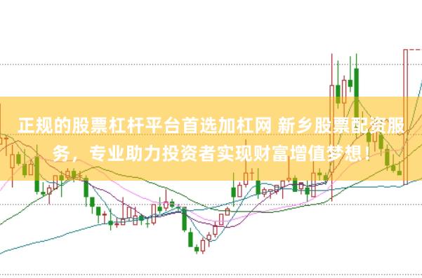 正规的股票杠杆平台首选加杠网 新乡股票配资服务，专业助力投资者实现财富增值梦想！