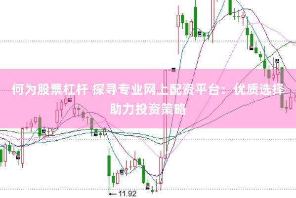 何为股票杠杆 探寻专业网上配资平台：优质选择助力投资策略