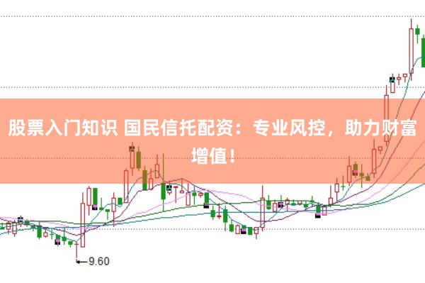 股票入门知识 国民信托配资：专业风控，助力财富增值！