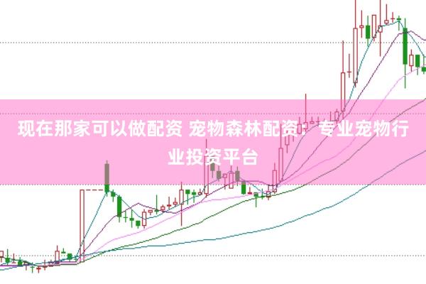 现在那家可以做配资 宠物森林配资：专业宠物行业投资平台