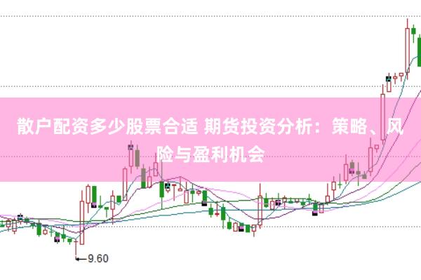 散户配资多少股票合适 期货投资分析：策略、风险与盈利机会