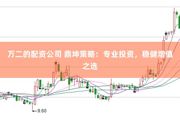 万二的配资公司 鼎坤策略：专业投资，稳健增值之选