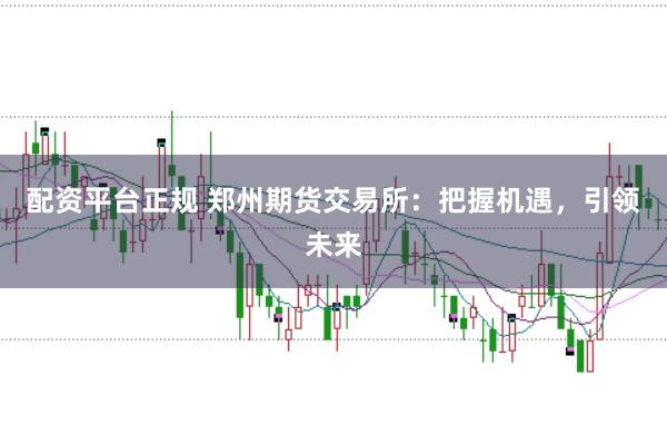 配资平台正规 郑州期货交易所：把握机遇，引领未来