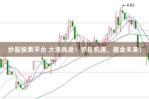 炒股股票平台 大涨钱途!抓住机遇,掘金未来!