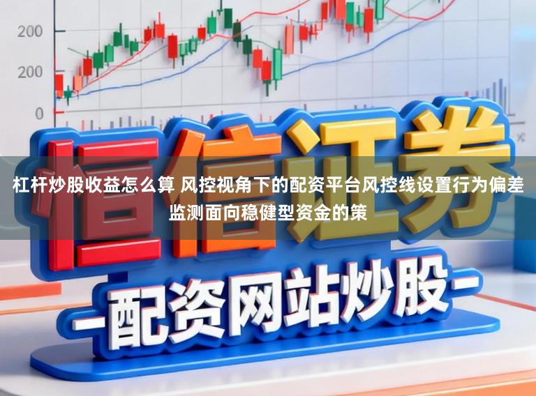 杠杆炒股收益怎么算 风控视角下的配资平台风控线设置行为偏差监测面向稳健型资金的策